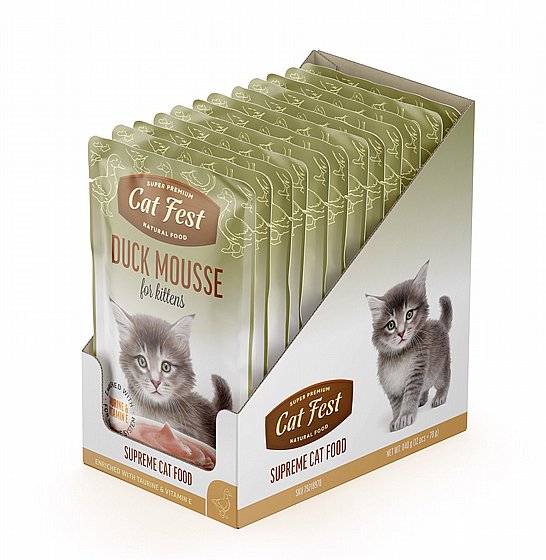 ���� �� ���/Cat  Fest ���� - ��� �����