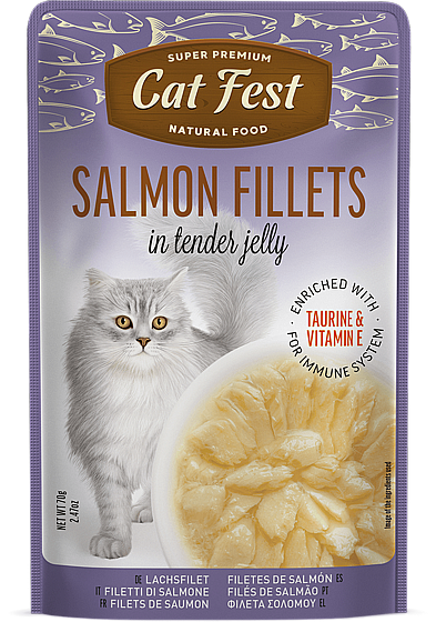 ���� �� ���/Cat Fest - ���� �����
