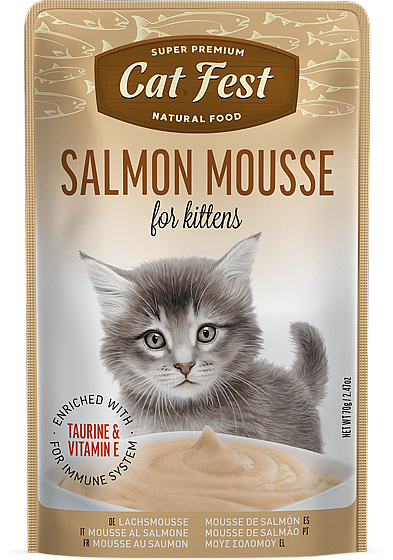 ���� �� ���/Cat Fest ���� - ��� �����