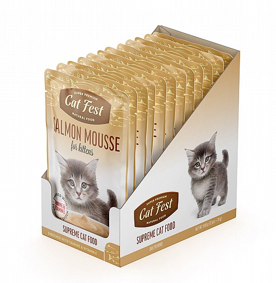 ���� �� ���/Cat Fest ���� - ��� �����