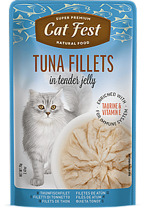 ���� �� ���/Cat Fest - ���� ����