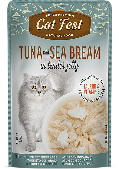 ���� �� ���/Cat Fest - ���� �����