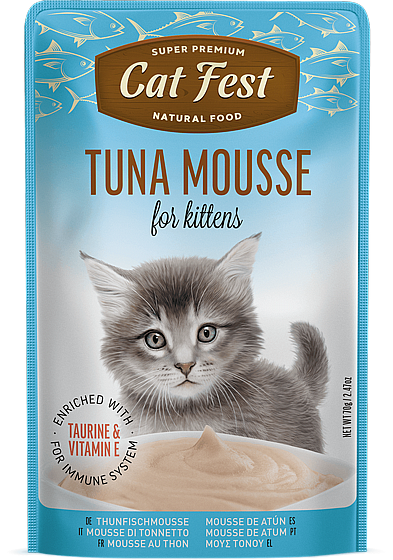 ���� �� ���/Cat Fest ���� - ��� ����