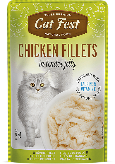 ���� �� ���/Cat Fest - ���� ���
