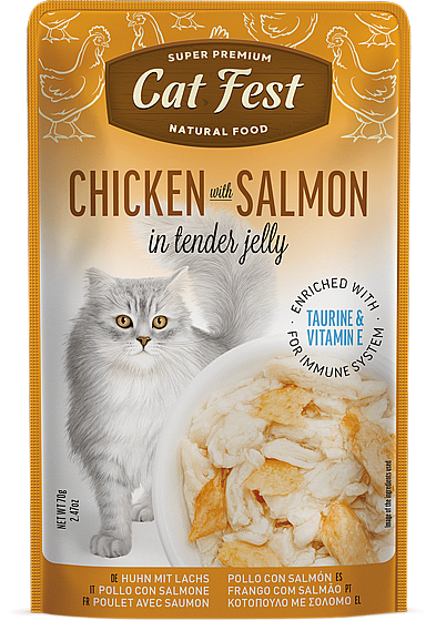 ���� �� ���/Cat Fest - ��� ������