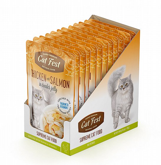 ���� �� ���/Cat Fest - ��� ������