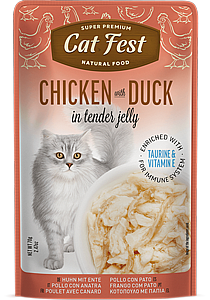 ���� �� ���/Cat Fest - ��� ������