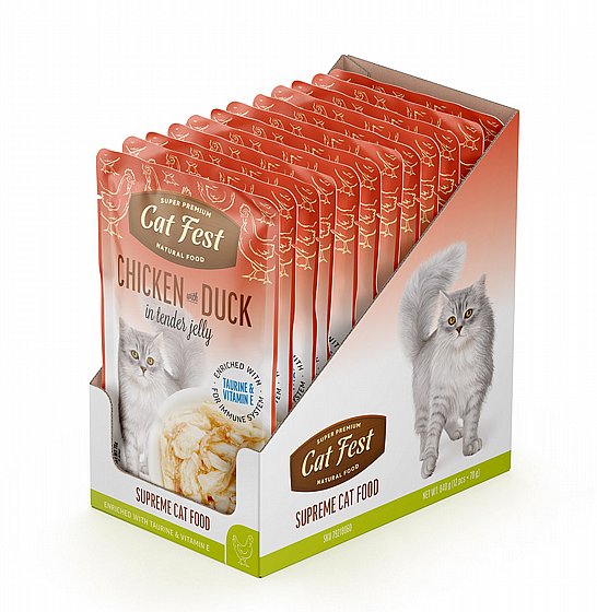 ���� �� ���/Cat Fest - ��� ������