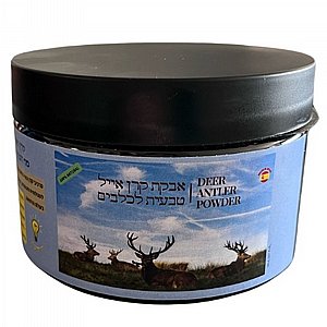 ���� ��� ���� ����� ������ 