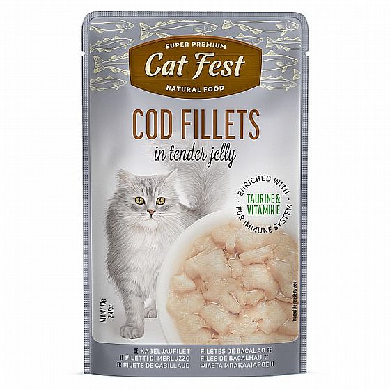 ���� �� ���/Cat Fest - ���� ����
