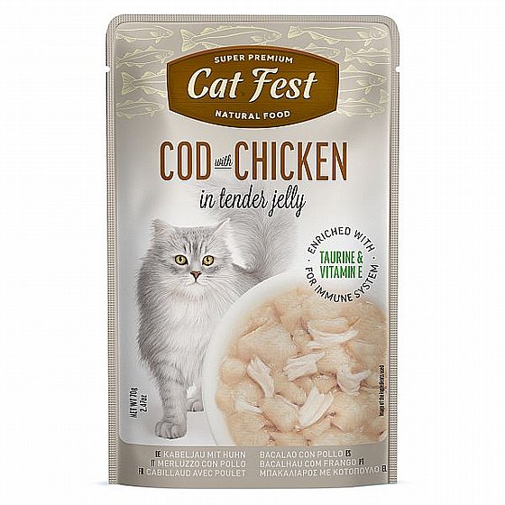 ���� �� ���/Cat Fest - ���� ����
