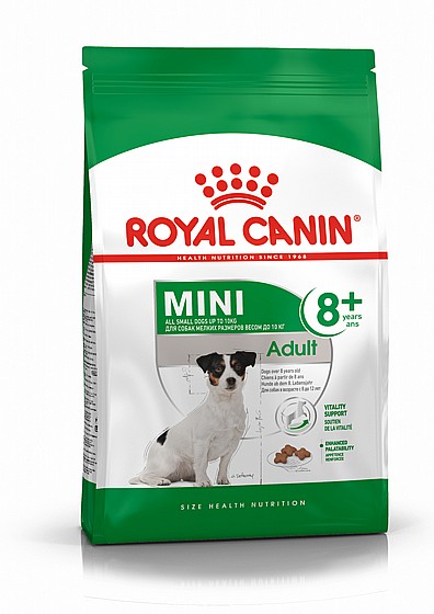 ����� ���� ���� �������