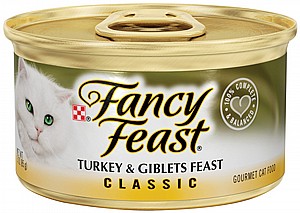 ���� ���� ���� ���� ����