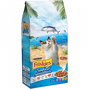 ������ ������� ����� ���