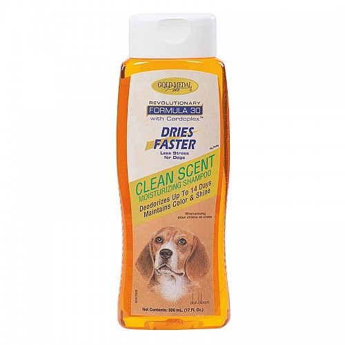 ���� ������ �����