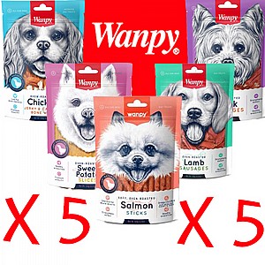 5 ����� ����/Wanpy ���� ����� �����