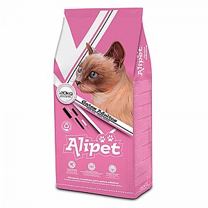 �� ���� �����  - ���� ������ ���