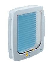 ��� ������ 15 ���� ����