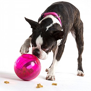 ���� ������ TUMBLER 