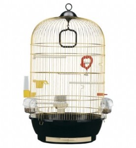 ���� ���� ����� ����/Diva ����