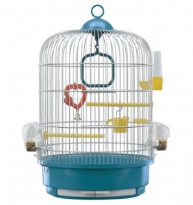 ���� ���� ����� ������/Regina ���