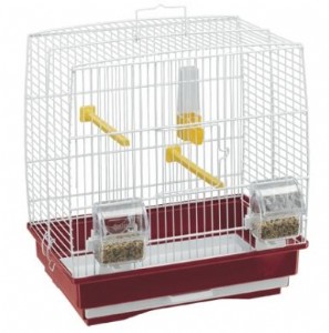 ���� ����� ����� 1/Rekord 1