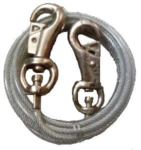 ��� ����� ������ ������