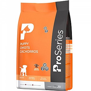 ��� ������ - ���� ���� ������ ������