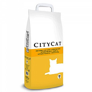 ��� ������� ������/CityCat