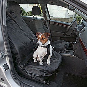 ����� ����� ��� ����