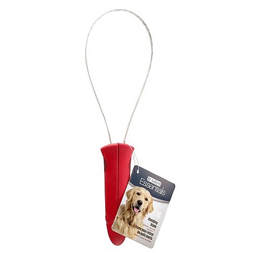 ����� ���� ������ �����