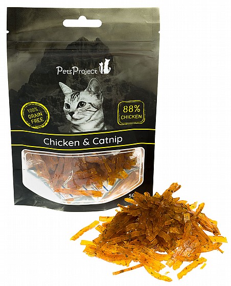 ���� ����� PetsProject  ��� �� �����
