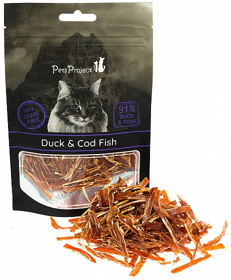 ���� ����� PetsProject  ����� �� �� ���