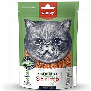 ���� ����� ������ ������