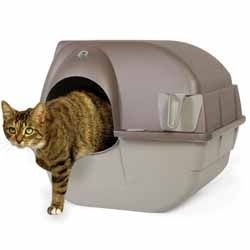 ���� ����� ����� �������� ����