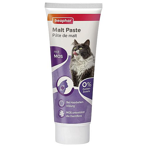 ���� ���� ���� ��������