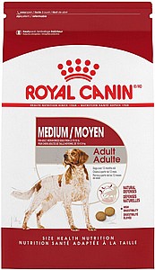 ����� ���� ������