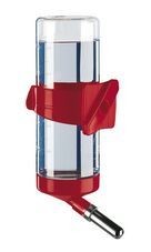 ���� ���� ��������