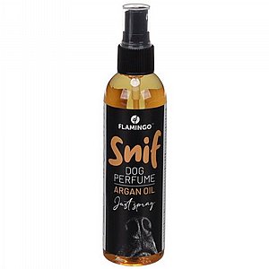 ���� ������ ������ ��� ����