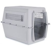 ���� ���� XL