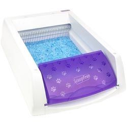 ������ �������� ����� - ScoopFree