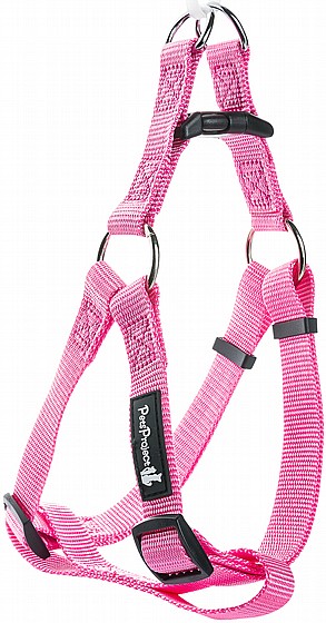 ���� �� PetsProject XS ���� ���