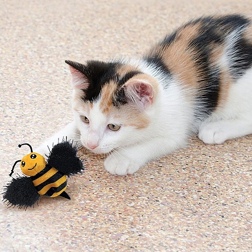 ���� ������ ������ / kong Kitty Fuzz Bugs