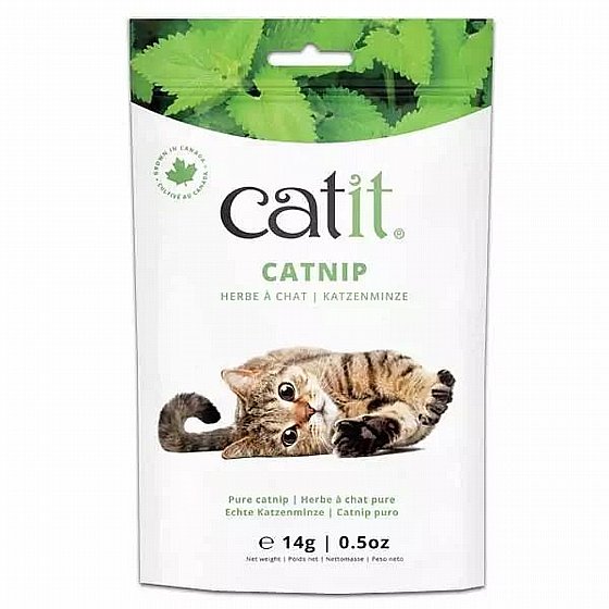 �����/Catnip