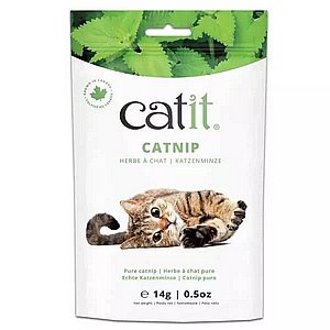 �����/Catnip