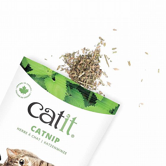�����/Catnip