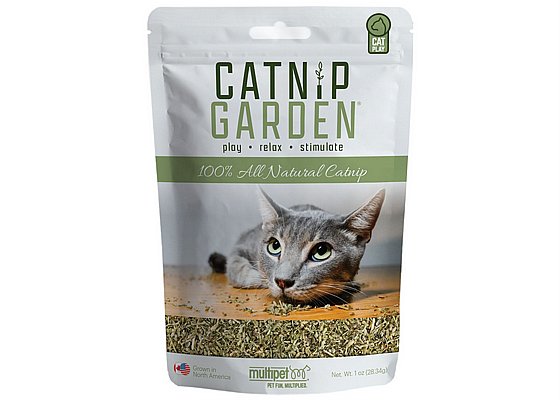 �����/Catnip