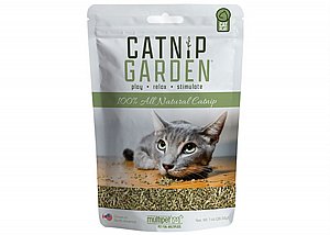 �����/Catnip