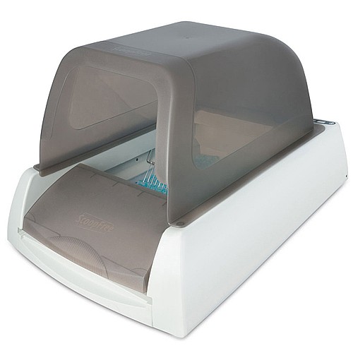 ���� ������� ScoopFree