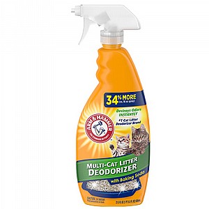 �������� ����� ������ �����